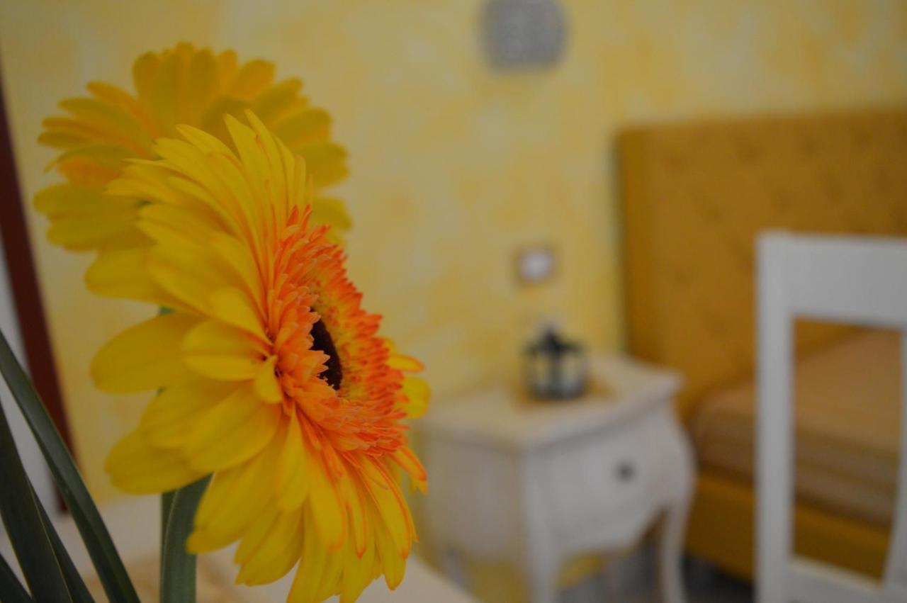 Tally B&B Salve Extérieur photo